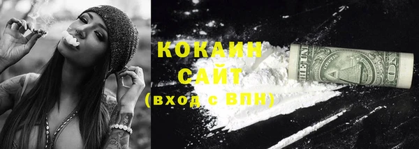 прущие крисы Елизово