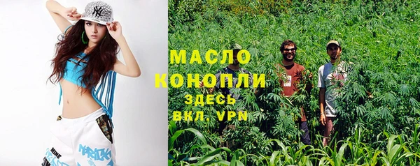 скорость Ельня