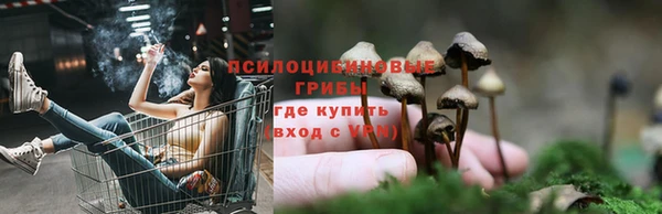 ГАЛЛЮЦИНОГЕННЫЕ ГРИБЫ Елабуга