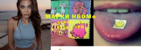 шишки Заволжск