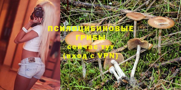 ГАЛЛЮЦИНОГЕННЫЕ ГРИБЫ Елабуга