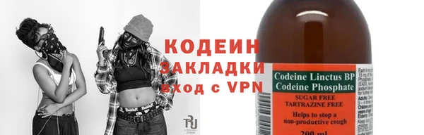 скорость Ельня