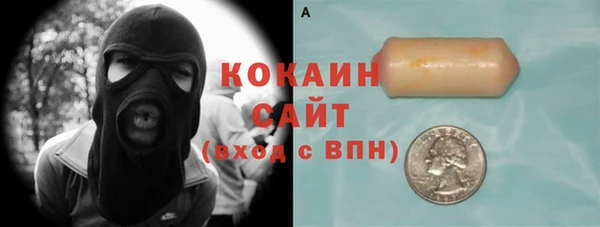 шишки Заволжск