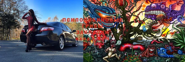 шишки Заволжск