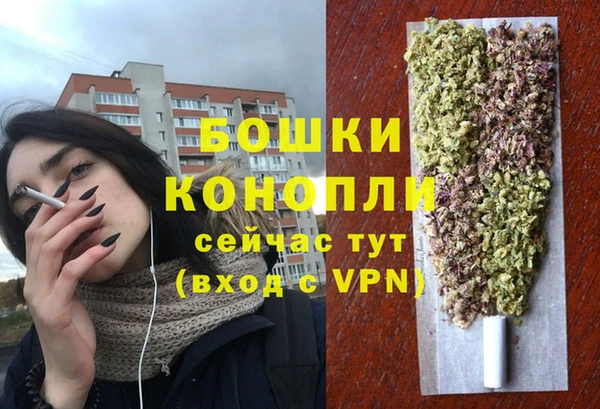 ГАЛЛЮЦИНОГЕННЫЕ ГРИБЫ Елабуга