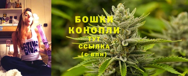 стаф Заволжье