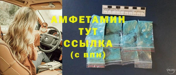 скорость Ельня