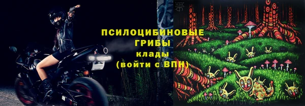 экстази Заводоуковск