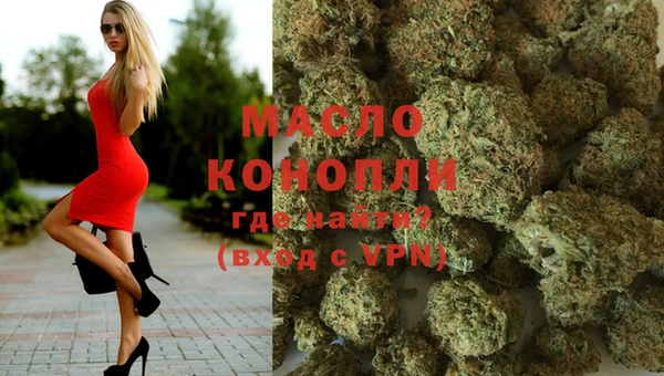 скорость Ельня