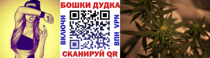 Купить  Инсар  Бошки Шишки планчик 